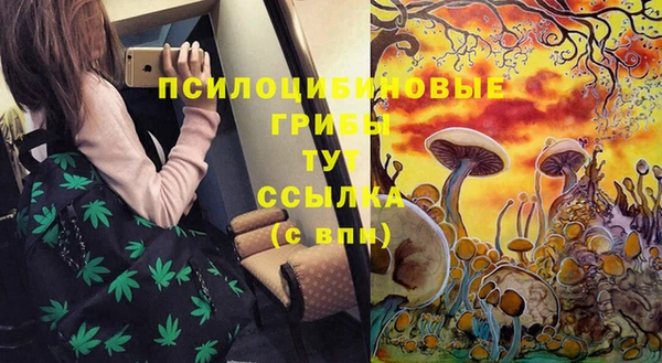 таблы Бронницы