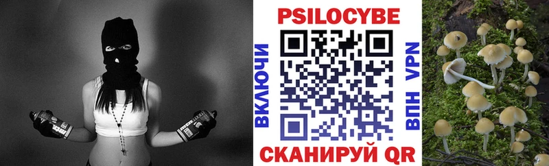 Псилоцибиновые грибы MAGIC MUSHROOMS  KRAKEN ссылка  Армавир  наркотики 